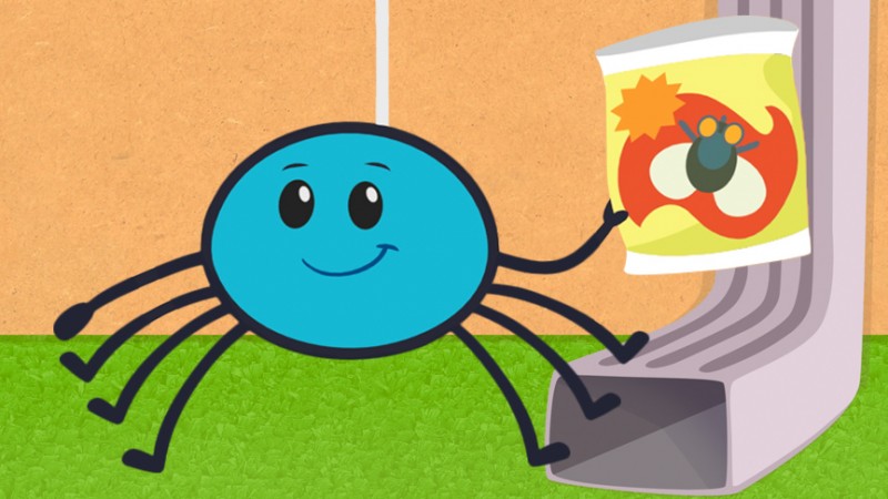 Itsy Bitsy Spider