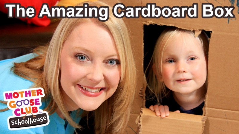 The Amazing Cardboard Box