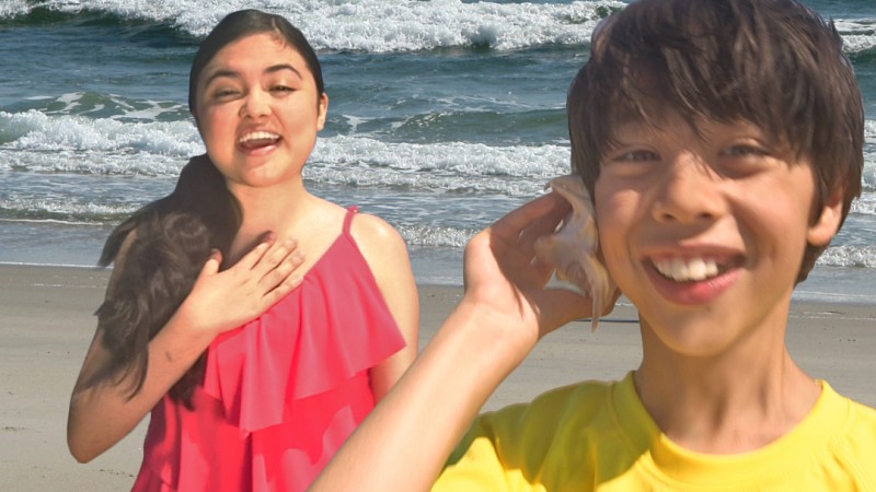 A Day At The Beach Video