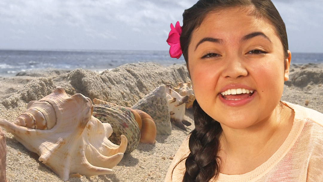 How Many Seashells Nursery Rhymes Mother Goose Club