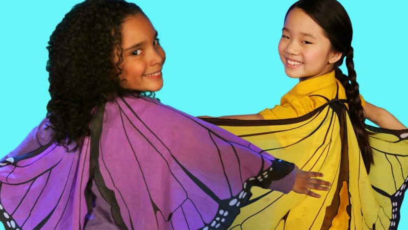 Butterfly dress up