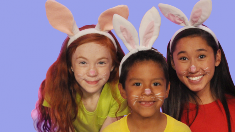 The Rabbit Family video