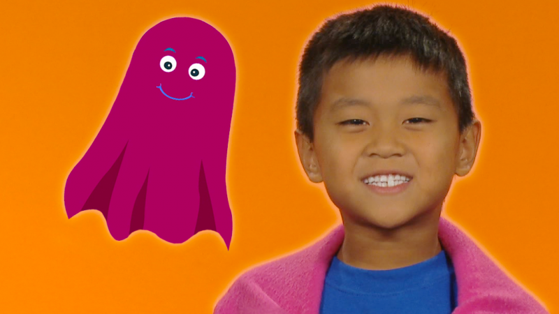 Blanket Monster Video