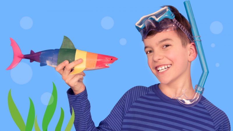 Color Sharks video