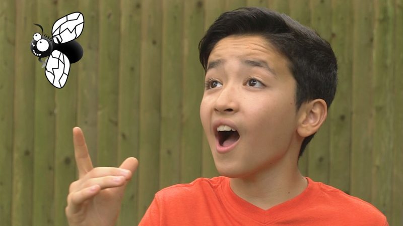 A Flea and a Fly in a Flue video