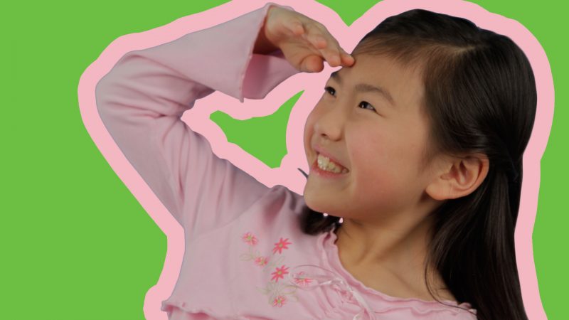 itsy bitsy spider went up the waterspout