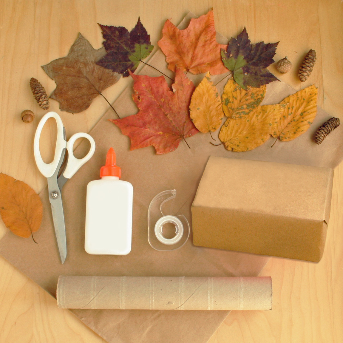 Fall tree craft materials