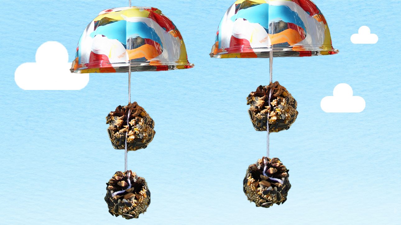 Bird Feeder Spring Craft