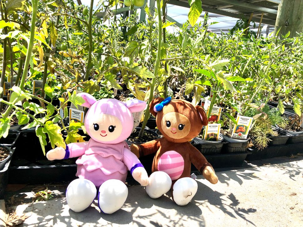 Plant Nursery Family-Activity plants and plush