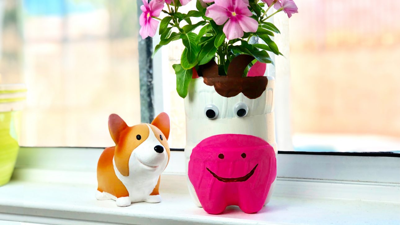 Plastic Bottle Planter Craft