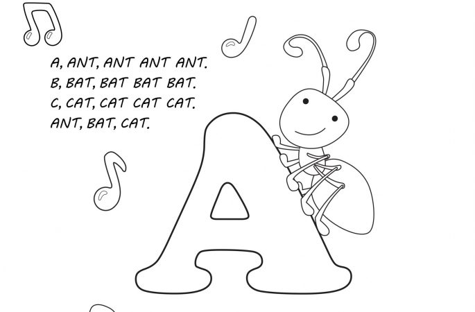 Image for Ant Bat Cat – Activity 1